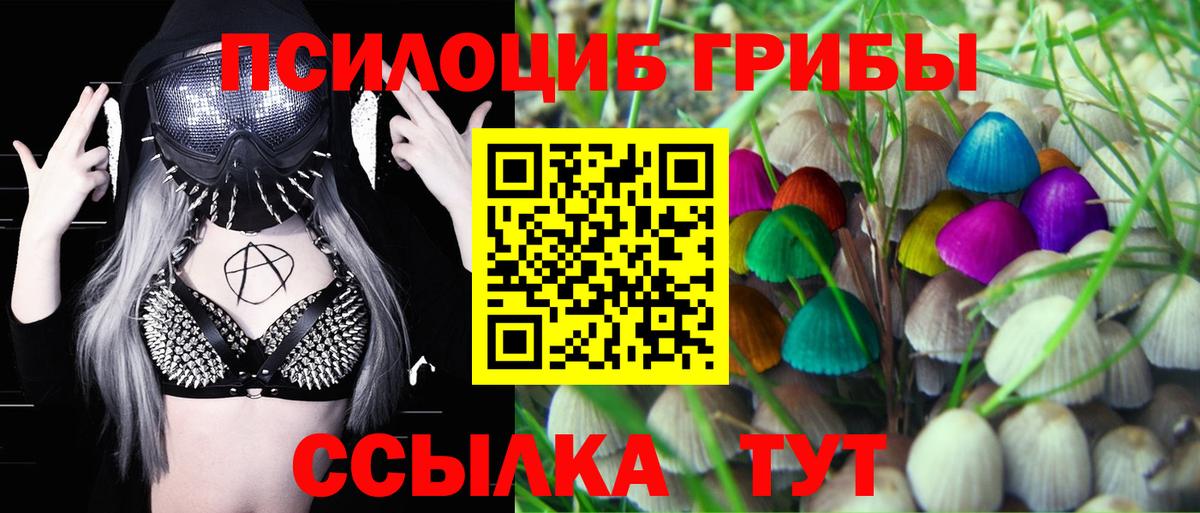 Тихвин  купить наркоту  Псилоцибиновые грибы GOLDEN TEACHER  Вход с VPN  Галлюциногенные грибы прущие грибы 