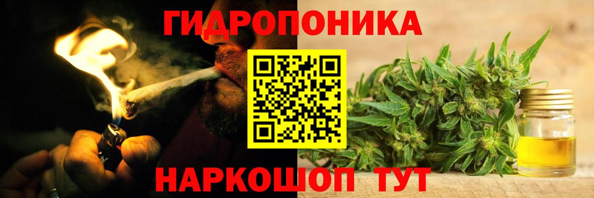 Бошки Шишки марихуана Тихвин